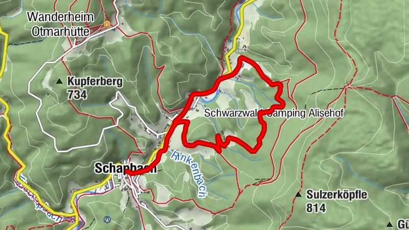 Carte