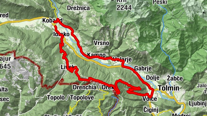 Carte
