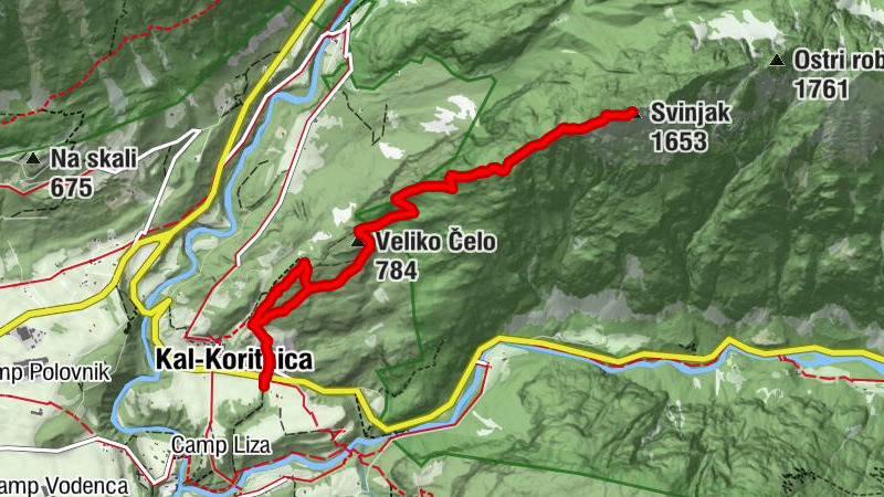 Carte
