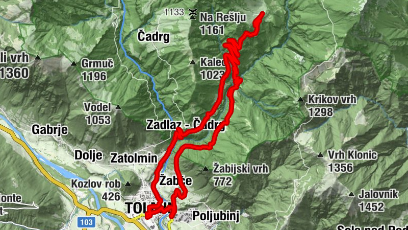 Carte