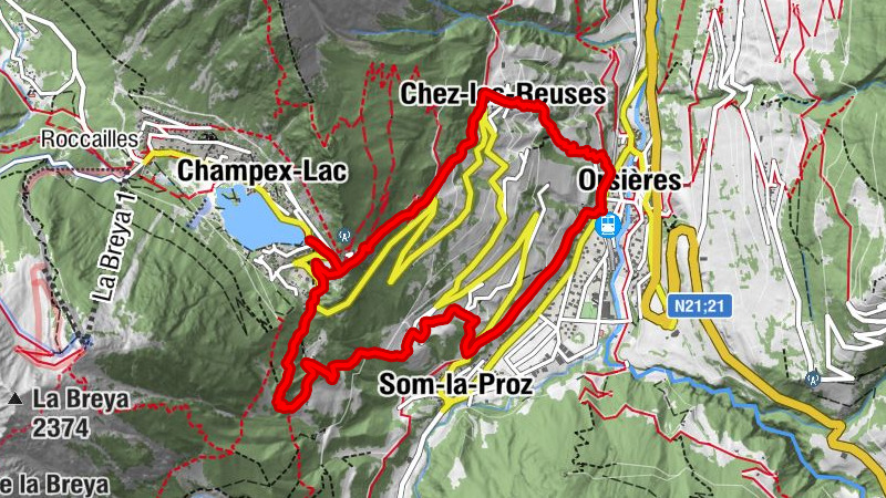 Carte