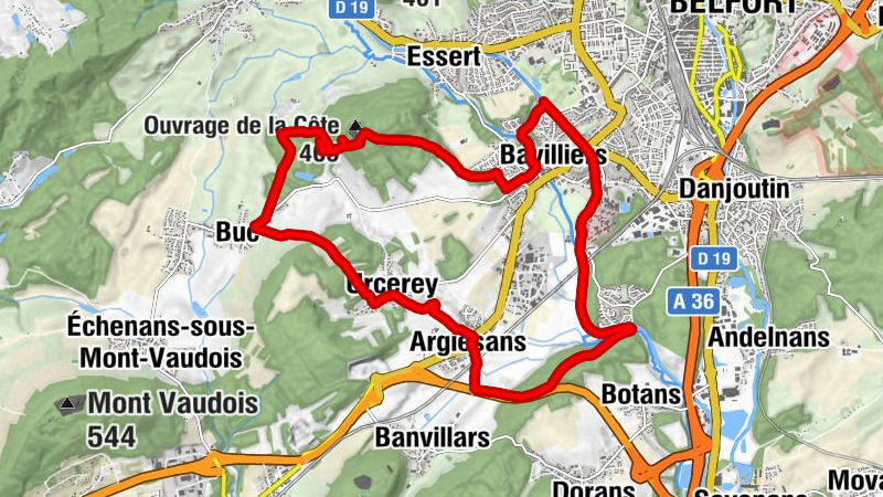 Carte
