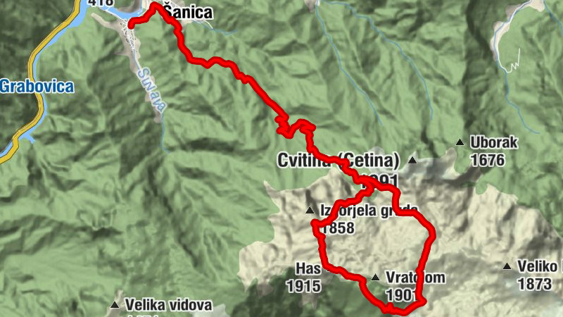 Carte