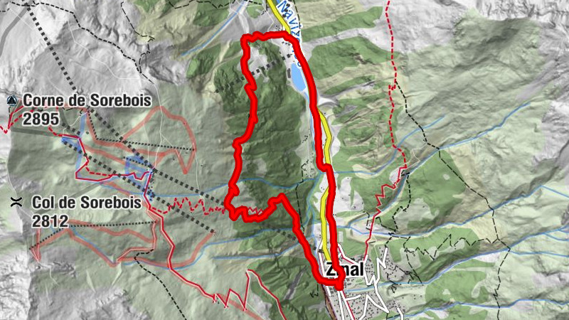 Carte