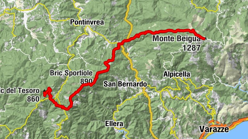 Carte