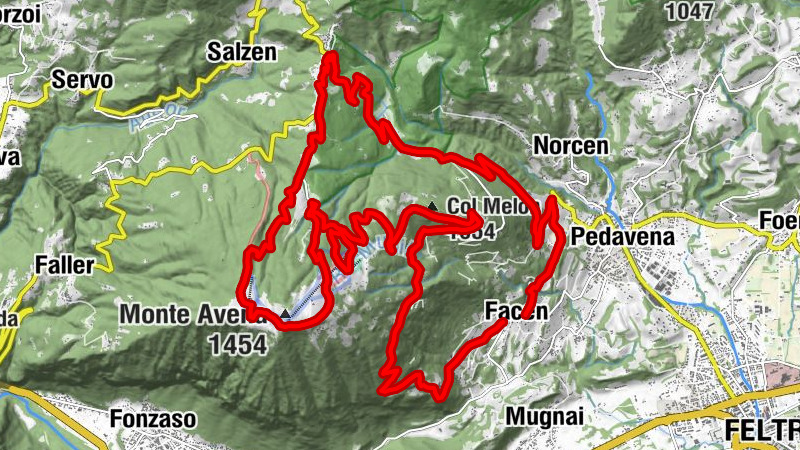 Carte