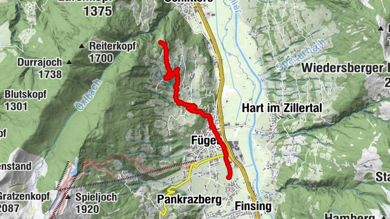 Carte