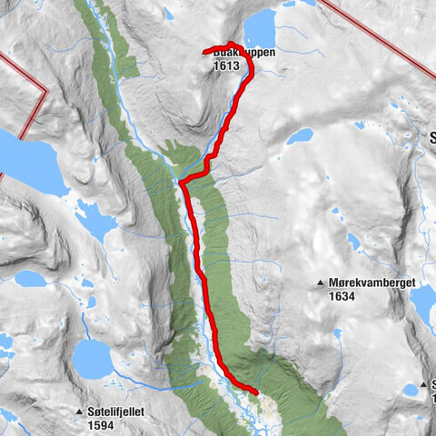 Hemsedal - Buaknuppen