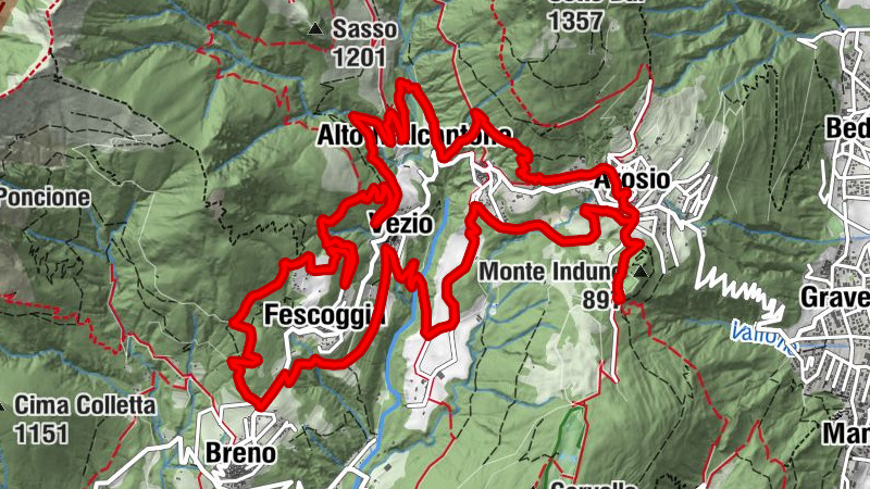 Carte