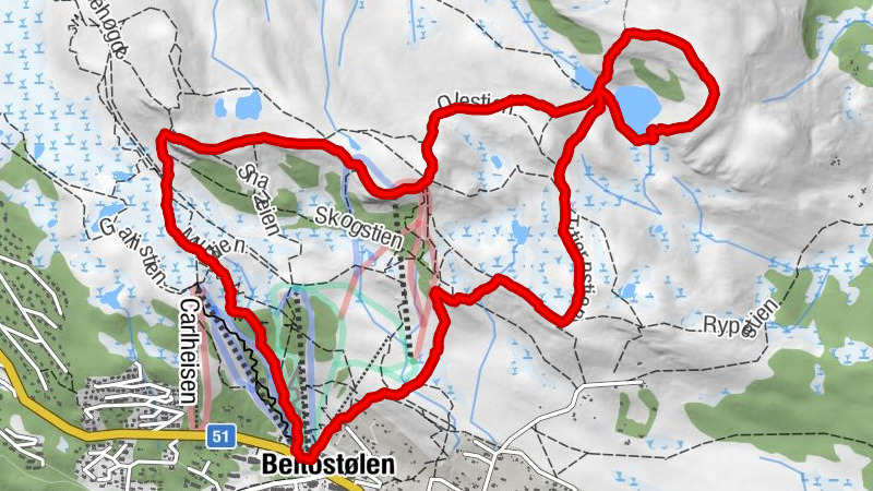 Carte