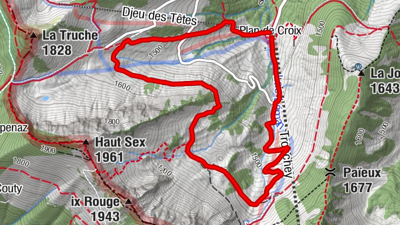 Carte