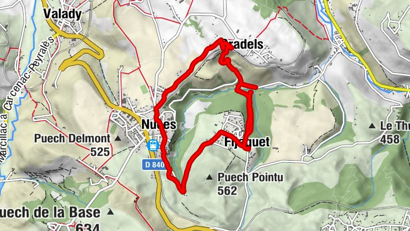 Carte