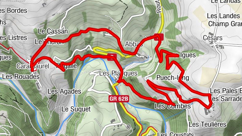 Carte