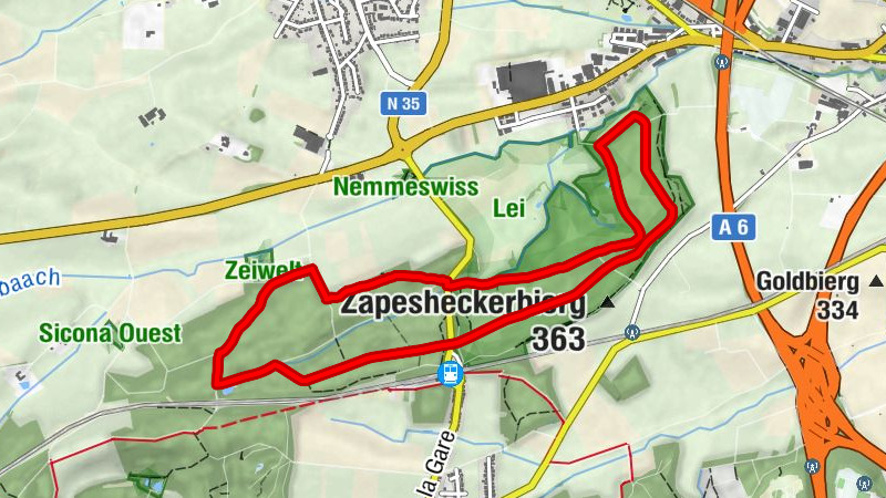 Carte