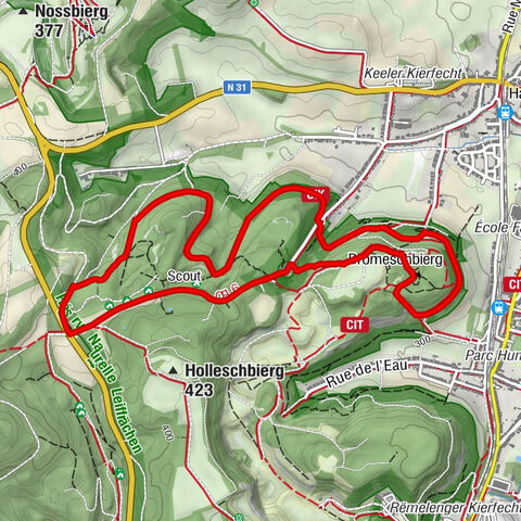 Al-Esch - Esch-sur-Alzette - Notre-Dame des Mineurs