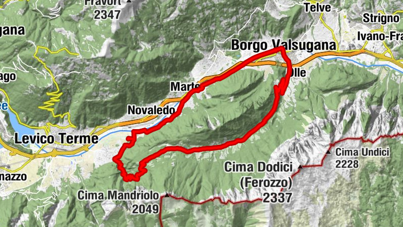 Carte