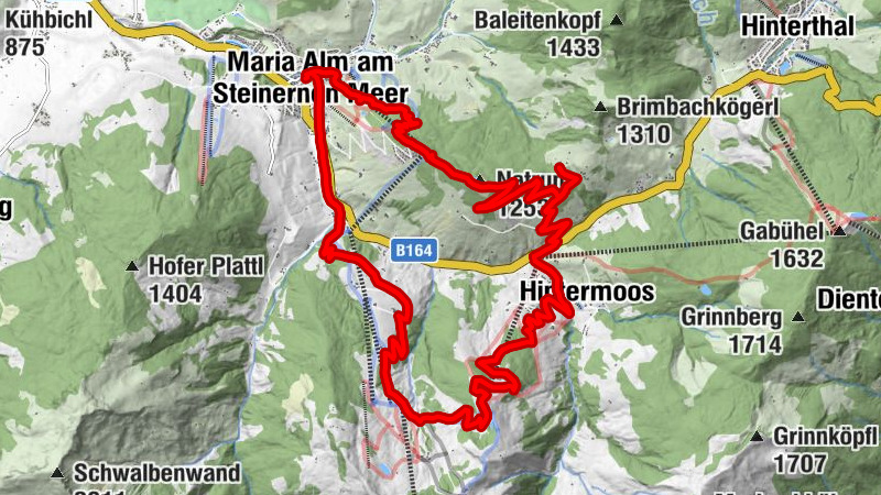 Carte