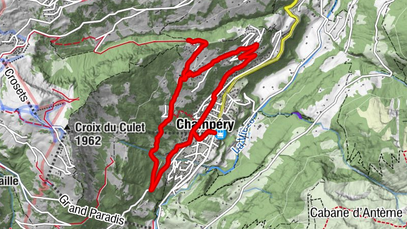 Carte