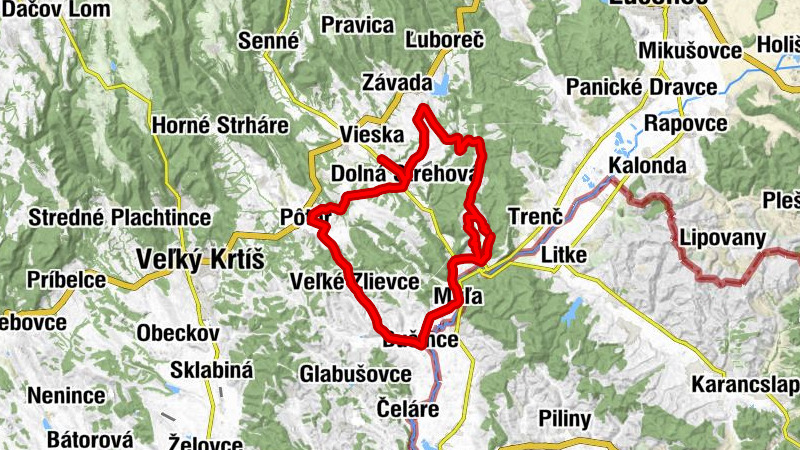 Carte