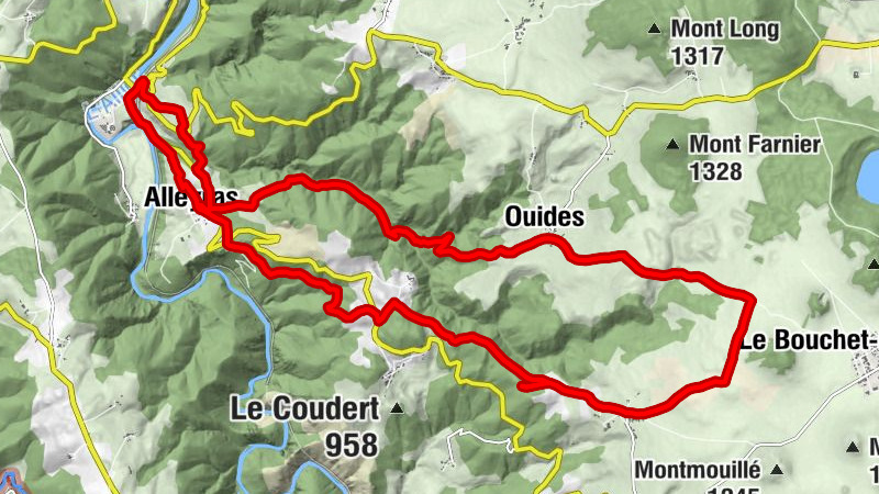 Carte