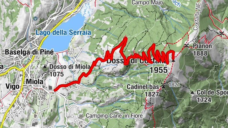 Carte