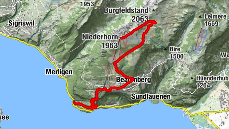 Carte