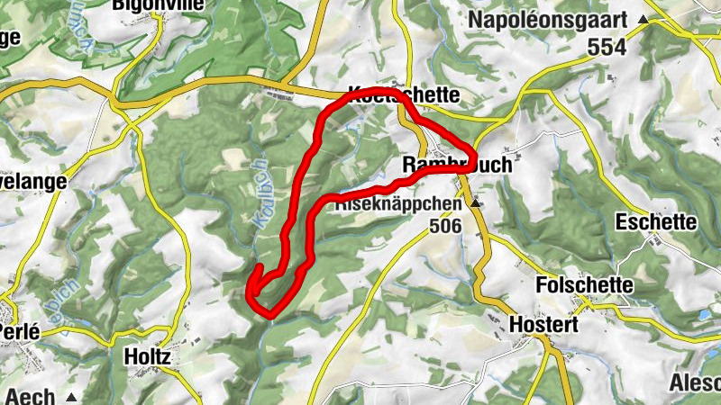 Carte