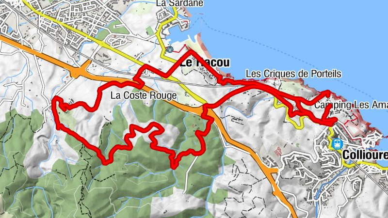 Carte