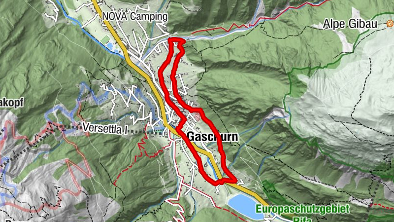 Carte