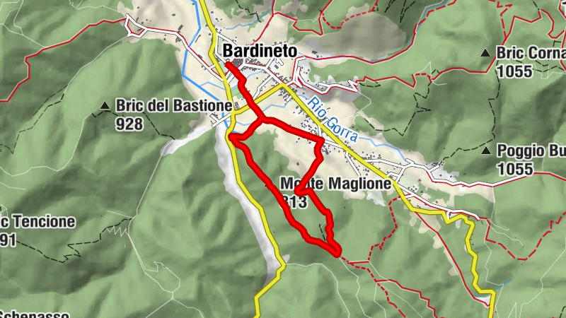 Carte