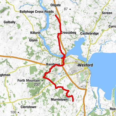 Garrycleary - Wexford - St Martin's Church - Piercetown