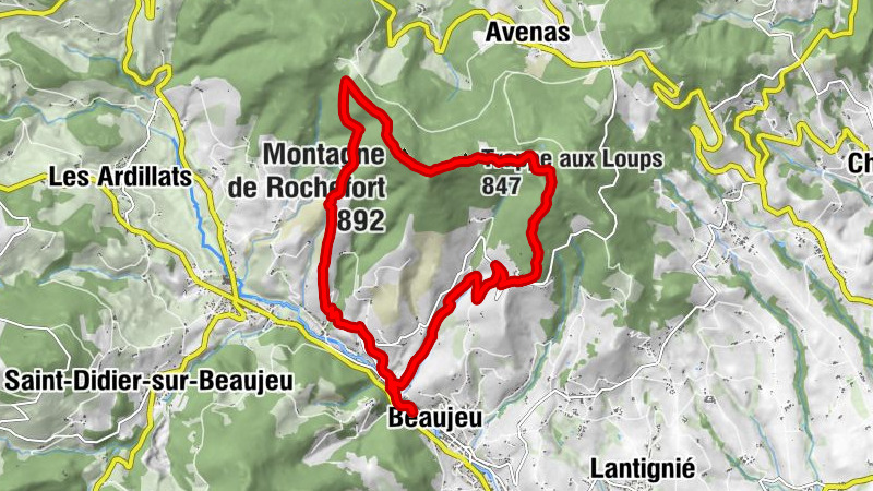 Carte