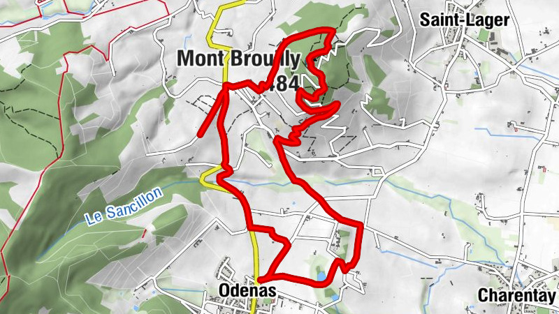 Carte
