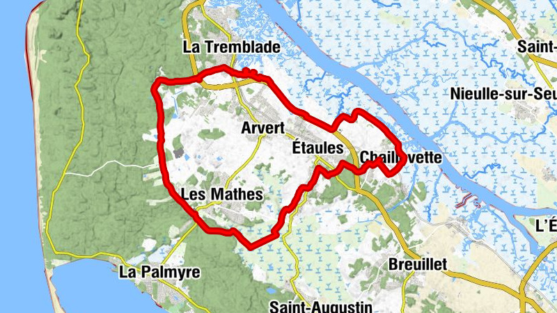 Carte