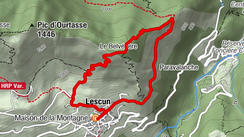 Carte