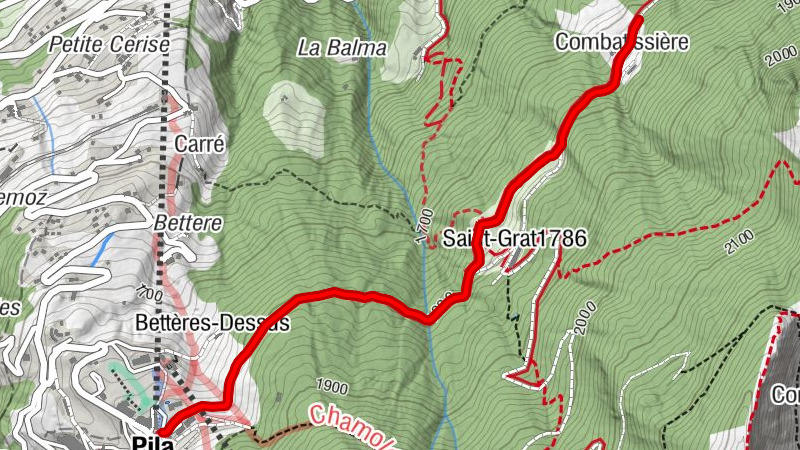 Carte