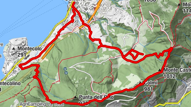 Carte