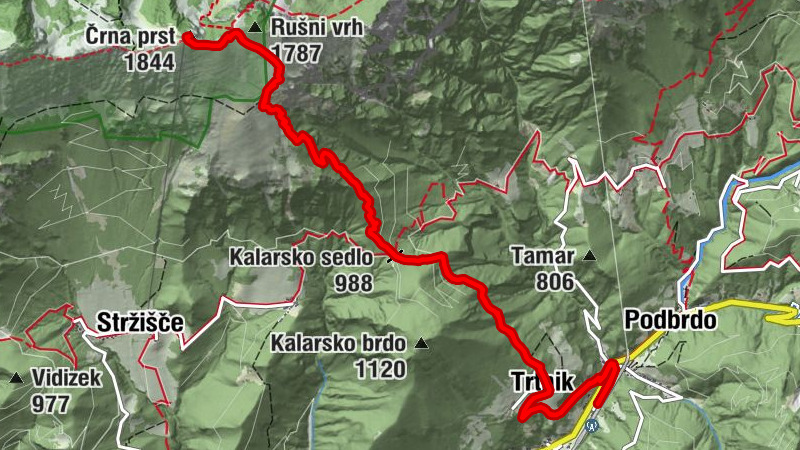 Carte