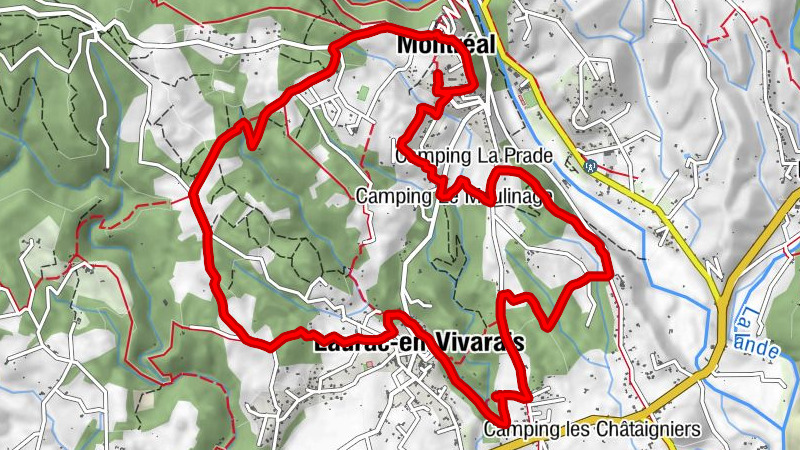 Carte