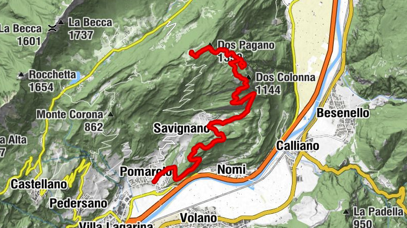 Carte