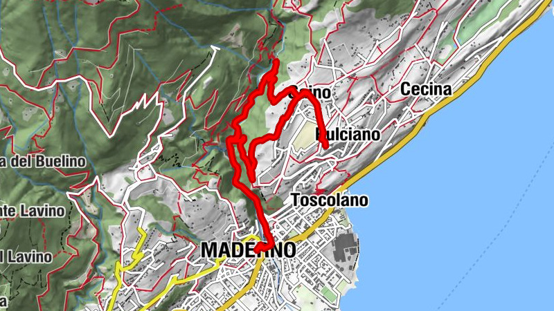 Carte