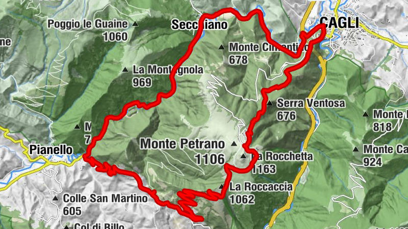 Carte