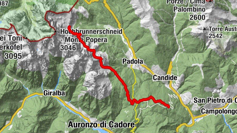 Carte