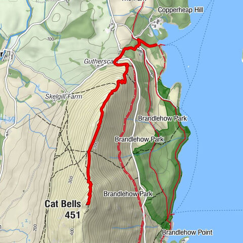 Above Derwent - Skelgill Bank - Cat Bells