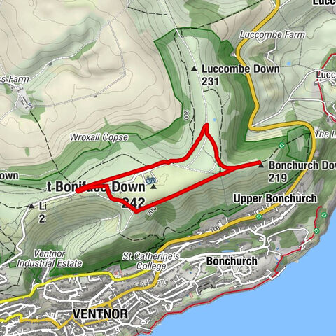 Ventnor - St Boniface Down - Bonchurch Down