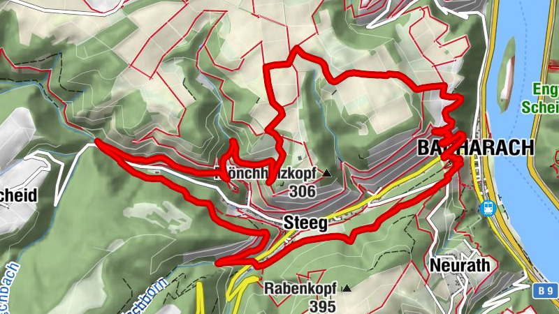 Carte