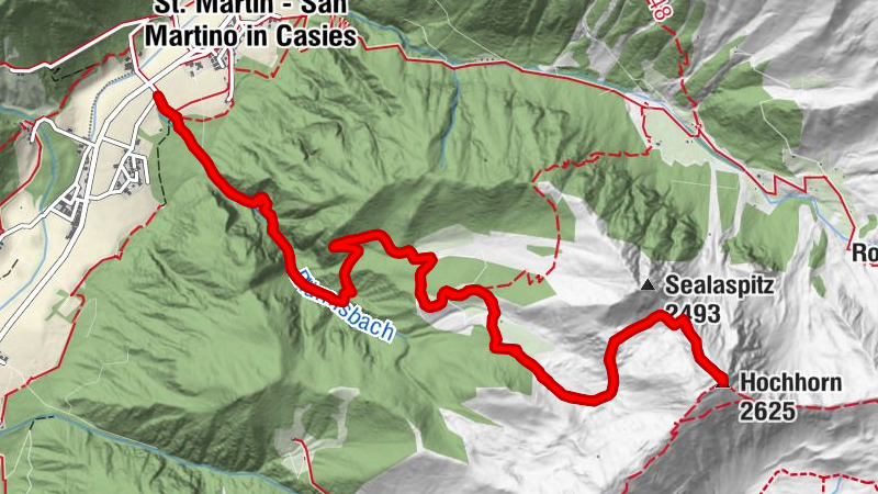 Carte