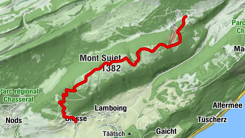 Carte