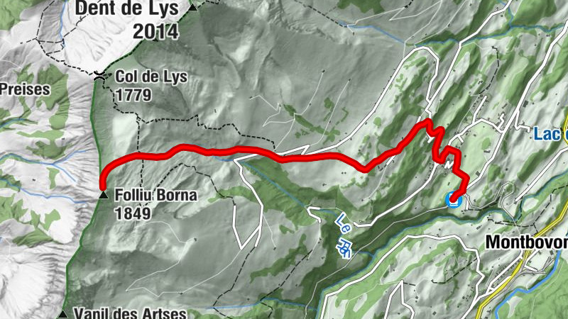 Carte