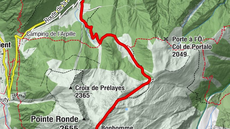 Carte